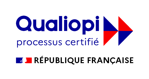 Vanessa Saboun Academy Drainage Lymphatique Paris Qualiopi Logo Png
